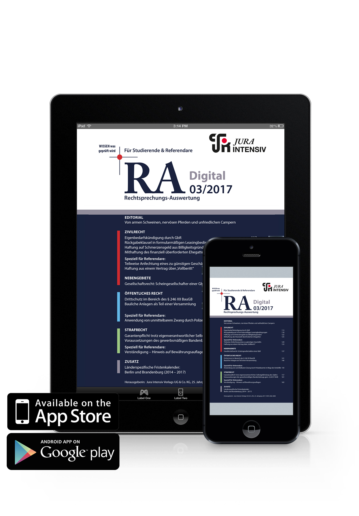 RA Digital 03/2017